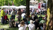Viele Menschen sitzen auf einer Wiese vor einer Bühne. © Screenshot 