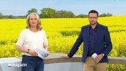 Die Moderatoren Harriet Heise und Christopher Scheffelmeier im Studio des Schlesweig-Holstein Magazins. © Screenshot 