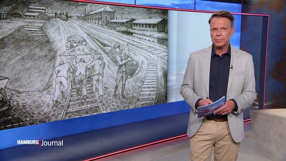 Ulf Ansorge moderiert das Hamburg Journal. © Screenshot 