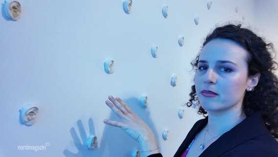 Wand-Installation im Museum. © Screenshot 