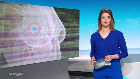 Frauke Rauner moderiert das Nordmagazin. © Screenshot 