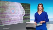 Frauke Rauner moderiert das Nordmagazin. © Screenshot 