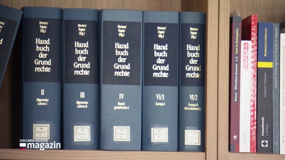 In einem Bücherregal stehen Handbücher der Grundrechte. © Screenshot 