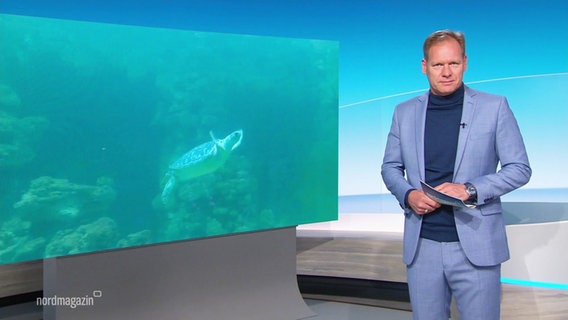 Moderator Thilo Tautz © Screenshot 
