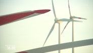Windräder © Screenshot 