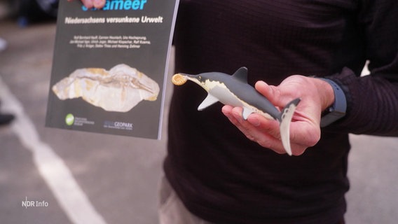 Ein Mann hält ein Modell eines Fischsauriers in der Hand. © Screenshot 
