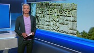 Moderator Thorsten Schröder © Screenshot 