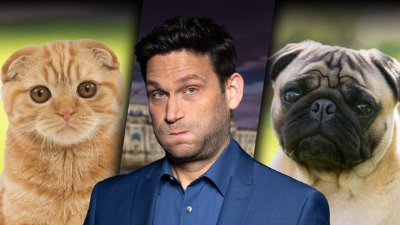Christian Ehring zwischen einer Katze (Scottish Fold) und einem Hund (Mops). (extra 3 vom 08.05.2025 im Ersten)
(Bild hat KI-generierte Elemente) © NDR 