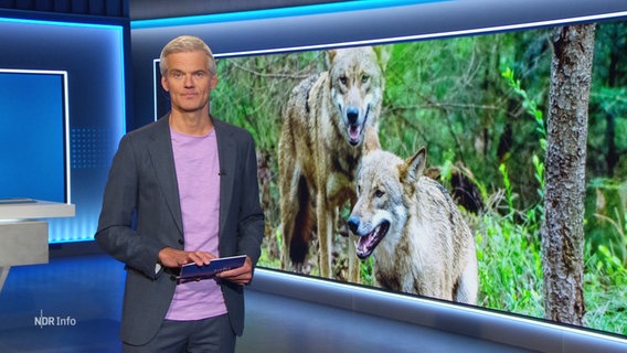 Moderator Thorsten Schröder © Screenshot 