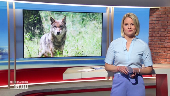 Moderatorin Kathrin Kampmann © Screenshot 