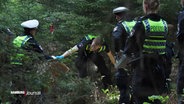Beamte der Polizei sichern die Fundstelle einer Leiche im Wald. © Screenshot 
