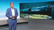 Moderator Thilo Tautz © Screenshot 