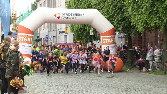 Greifswalder Citylauf: Beim Familienlauf treten viele hundert Teilnehmer an. Läufer am Startpunkt. © Screenshot 