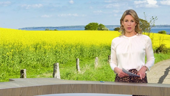 Eva Diederich © Screenshot 