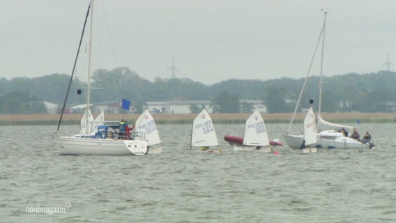 Mehrere Segelschiffe auf dem Wasser. © Screenshot 
