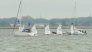 Mehrere Segelschiffe auf dem Wasser. © Screenshot 