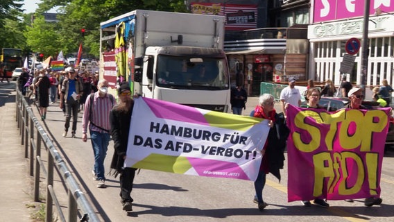 Demonstration gegen die AfD in Hamburg. © Screenshot 