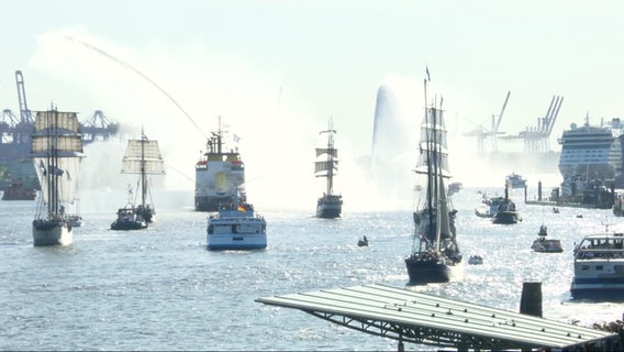 Schiffe auf der Elbe bei der Auslaufparade. © Screenshot 