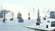 Schiffe auf der Elbe bei der Auslaufparade. © Screenshot 