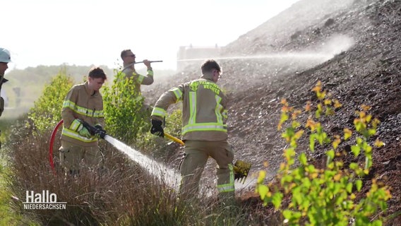 Feuerwehrleute besprühen einen Hügel in einem Moorgebiet mit Wasser. © Screenshot 