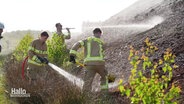 Feuerwehrleute besprühen einen Hügel in einem Moorgebiet mit Wasser. © Screenshot 