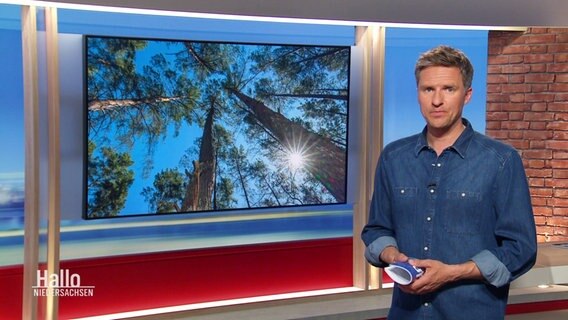 Moderator Arne-Torben Voigts im Studio © Screenshot 