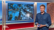 Moderator Arne-Torben Voigts im Studio © Screenshot 