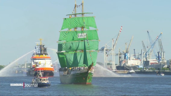 Schiffe auf der Elbe. © Screenshot 