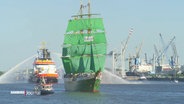 Schiffe auf der Elbe. © Screenshot 