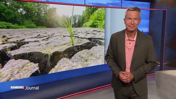 Thomas Görlitzer moderiert das Hamburg Journal 18.00. © Screenshot 