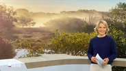 Marie-Luise Brahm moderiert das Schleswig-Holstein 18.00. © Screenshot 