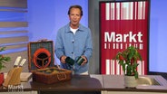 Moderator Jo Hiller im Studio von "Markt". Vor ihm auf dem Tisch ein Picknickkorb mit Kunststoff-Tellern und -Bechern sowie eine Pflanze und ein Messerblock. © Screenshot 