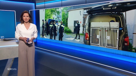 Romy Hiller moderiert NDR Info 15:00. © Screenshot 