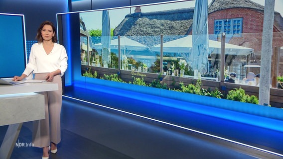 Romy Hiller moderiert NDR Info 16:00. © Screenshot 