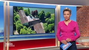 Christina von Saß moderiert Hallo Niedersachsen. © Screenshot 