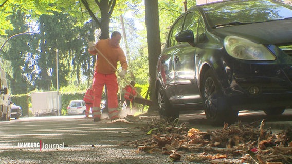 Eine Person von der Stadtreinigung bei der Arbeit. © Screenshot 