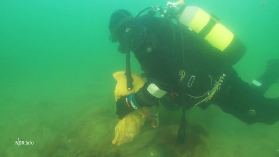 Ein Taucher unter Wasser. © Screenshot 