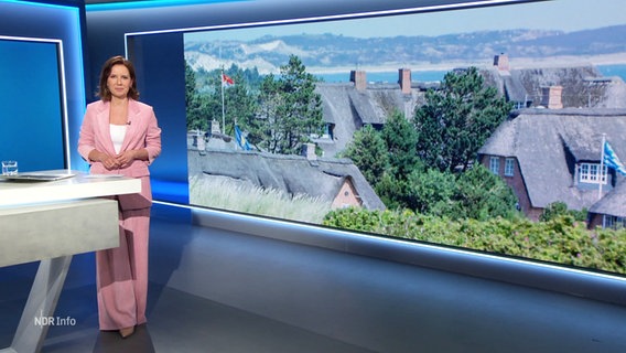 Romy Hiller moderiert NDR Info 17.00. © Screenshot 
