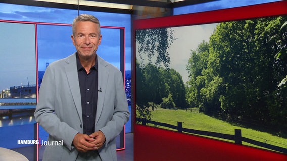 Thomas Görlitzer moderiert das Hamburg Journal 18.00. © Screenshot 