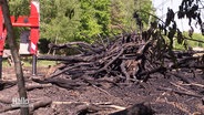 Ein Stapel abgebranntes Holz. © Screenshot 
