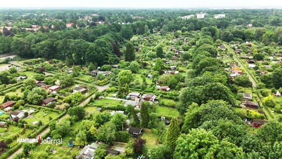 Das Diekmoor mit Wald und Wohnsiedlung, eine Luftaufnahme. © Screenshot 