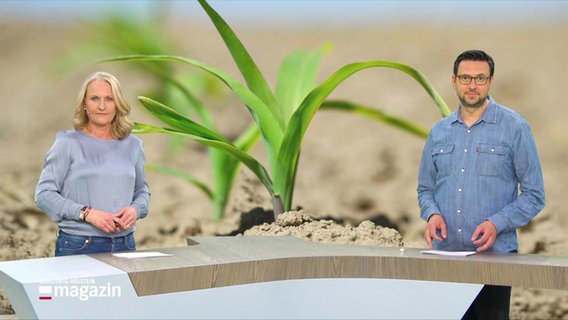 Harriet Heise und Christopher Scheffelmeier moderieren das Schleswig-Holstein Magazin. © Screenshot 