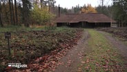 Ein Haus im Sachsenwald. © Screenshot 