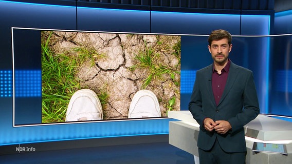 Daniel Bröckerhoff. © Screenshot 
