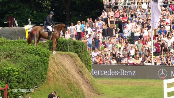 Das deutsche Springderby in Hamburg. © ndr 