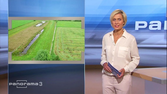 Panorama 3 mit Moderatorin Susanne Stichler.  