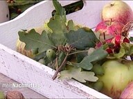 Eberesche im garten Eberesche im garten