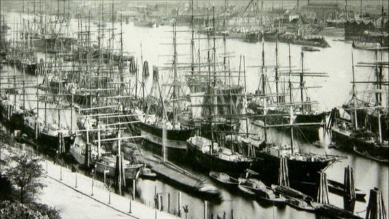 Ein Schwarz-Weiß-Bild zeigt diverse Segelschiffe, die im Hamburger Hafen liegen.  