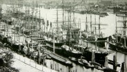 Ein Schwarz-Weiß-Bild zeigt diverse Segelschiffe, die im Hamburger Hafen liegen.  