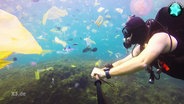 Ein Taucher filmt die Unterwasserwelt: Zu sehen sind viele Plastikteile und Tüten.  